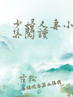 少妇人妻小说合集阅读