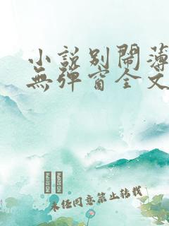 小说别闹薄先生无弹窗全文免费阅读