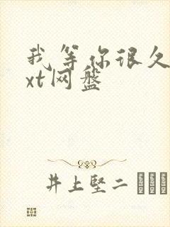 我等你很久了txt网盘