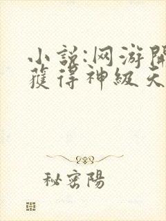 小说:网游开局获得神级天赋