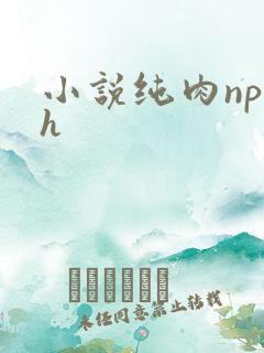 小说纯肉np高h