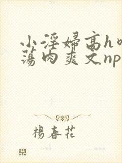 小淫妇高h喷水荡肉爽文np文