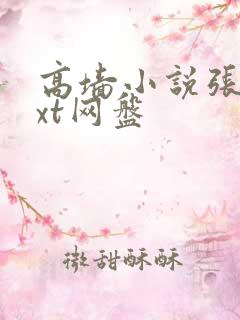 高墙小说张叙txt网盘