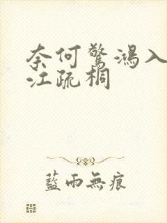 奈何惊鸿入我心江疏桐