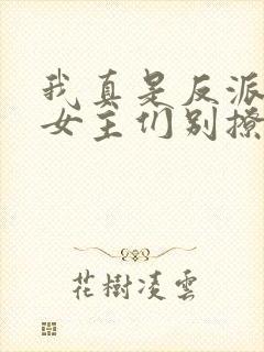 我真是反派啊,女主们别撩我了