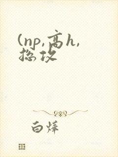 (np,高h,总攻