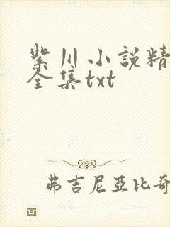 紫川小说精校版全集txt