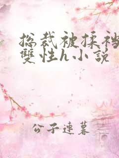 总裁被揉裆呻吟双性h小说