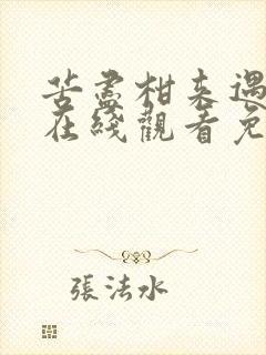 苦尽柑来遇见你在线观看免费观看