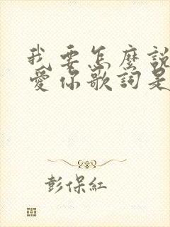 我要怎么说我不爱你歌词是什么歌