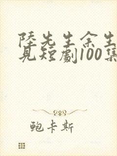 陆先生余生不再见短剧100集免费观看