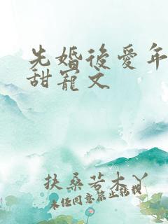 先婚后爱年龄差甜宠文