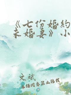 《七份婚约七个未婚妻》小说