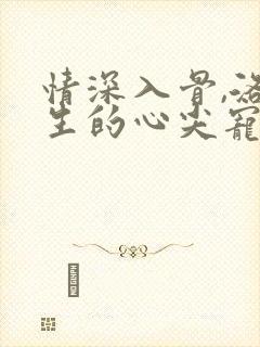 情深入骨,洛先生的心尖宠