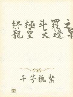 终极斗罗之时空龙皇 天边星辰