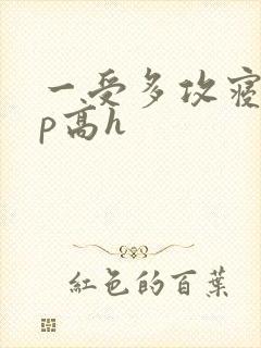 一受多攻寝室np高h