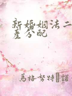 新婚姻法二婚财产分配