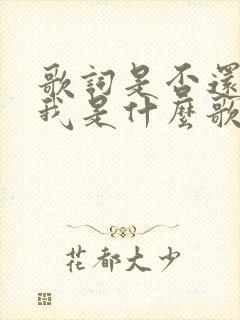 歌词是否还记得我是什么歌