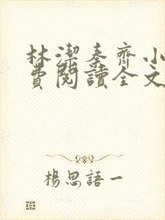 林洁秦齐小说免费阅读全文最新章节