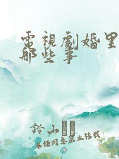 电视剧婚里婚外那些事