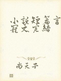 小说短篇言情甜宠文完结