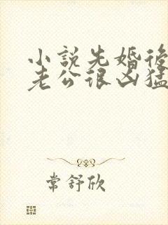 小说先婚后爱:老公很凶猛免费阅读