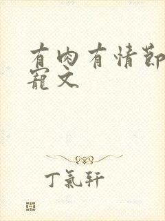 有肉有情节的甜宠文