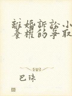 离婚诉讼小孩抚养权的争取