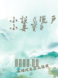 小说《猎户家的小妻宝》