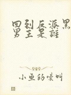 回到反派黑化前男主是谁