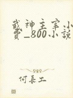 武神主宰小说免费_800小说