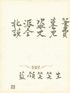 北派盗墓笔记小说全文免费阅读全文