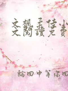 文枫柔佳小说全文阅读免费