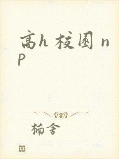 高h 校园 np