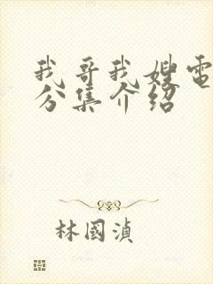 我哥我嫂电视剧分集介绍