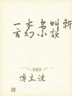 一本名叫斩神的玄幻小说