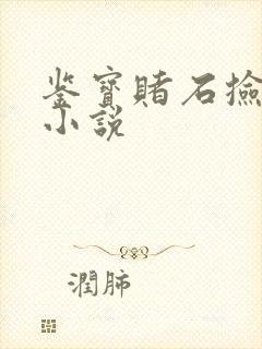 鉴宝赌石捡漏类小说