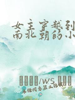 女主穿越到魏晋南北朝的小说