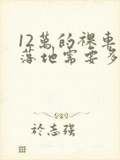 12万的裸车价落地需要多少钱