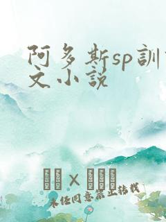 阿多斯sp训诫文小说