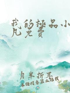 我的极品小姨叶凡免费