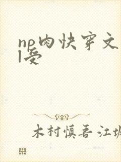 np肉快穿文bl受