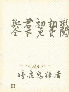 与君初相识小说全本免费阅读笔趣阁