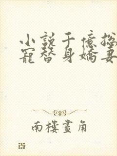 小说千亿总裁独宠替身娇妻全文免费