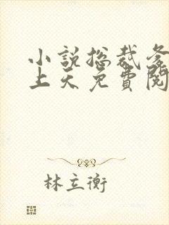 小说总裁爹地宠上天免费阅读全文