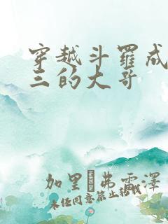 穿越斗罗成了唐三的大哥