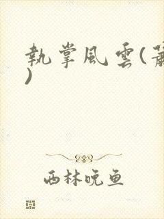 执掌风云(萧峥)