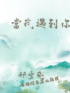 当我遇到你歌词