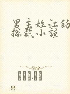 男主姓江的现代总裁小说