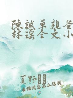 陈诚单亲爸爸,林瑶全文小说免费阅读